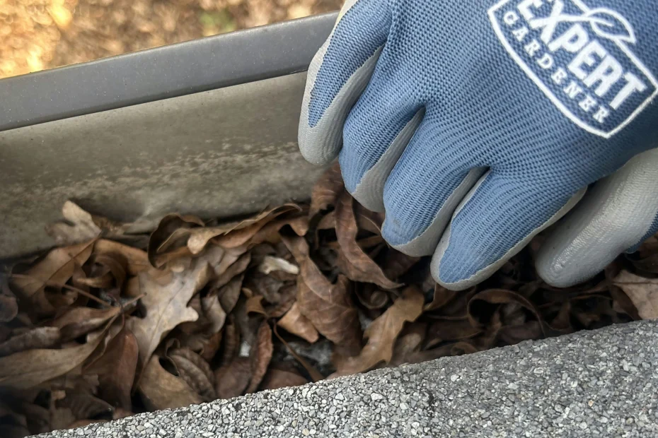 Gutter Cleaning Montrose