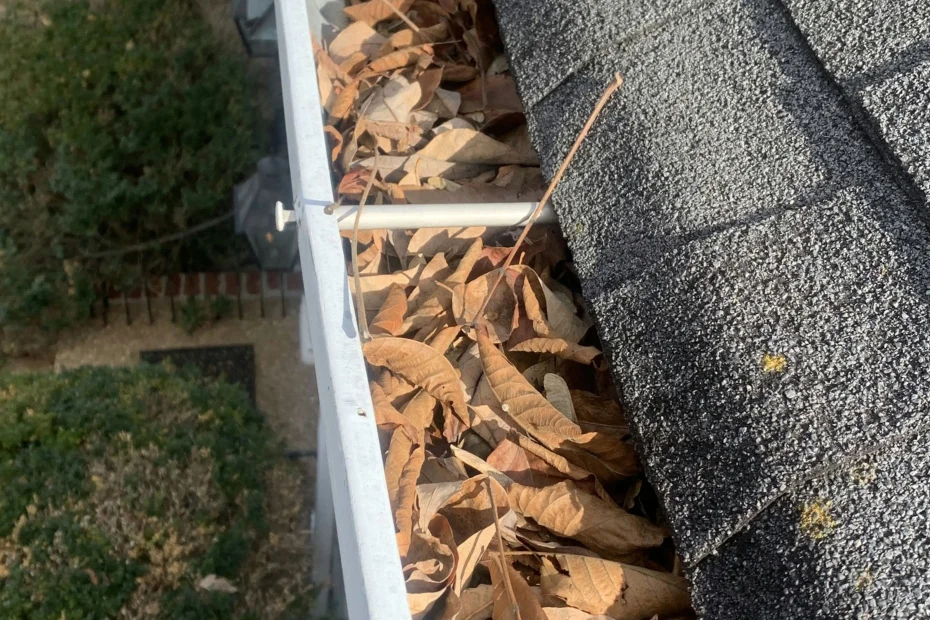 Gutter Cleaning Montrose